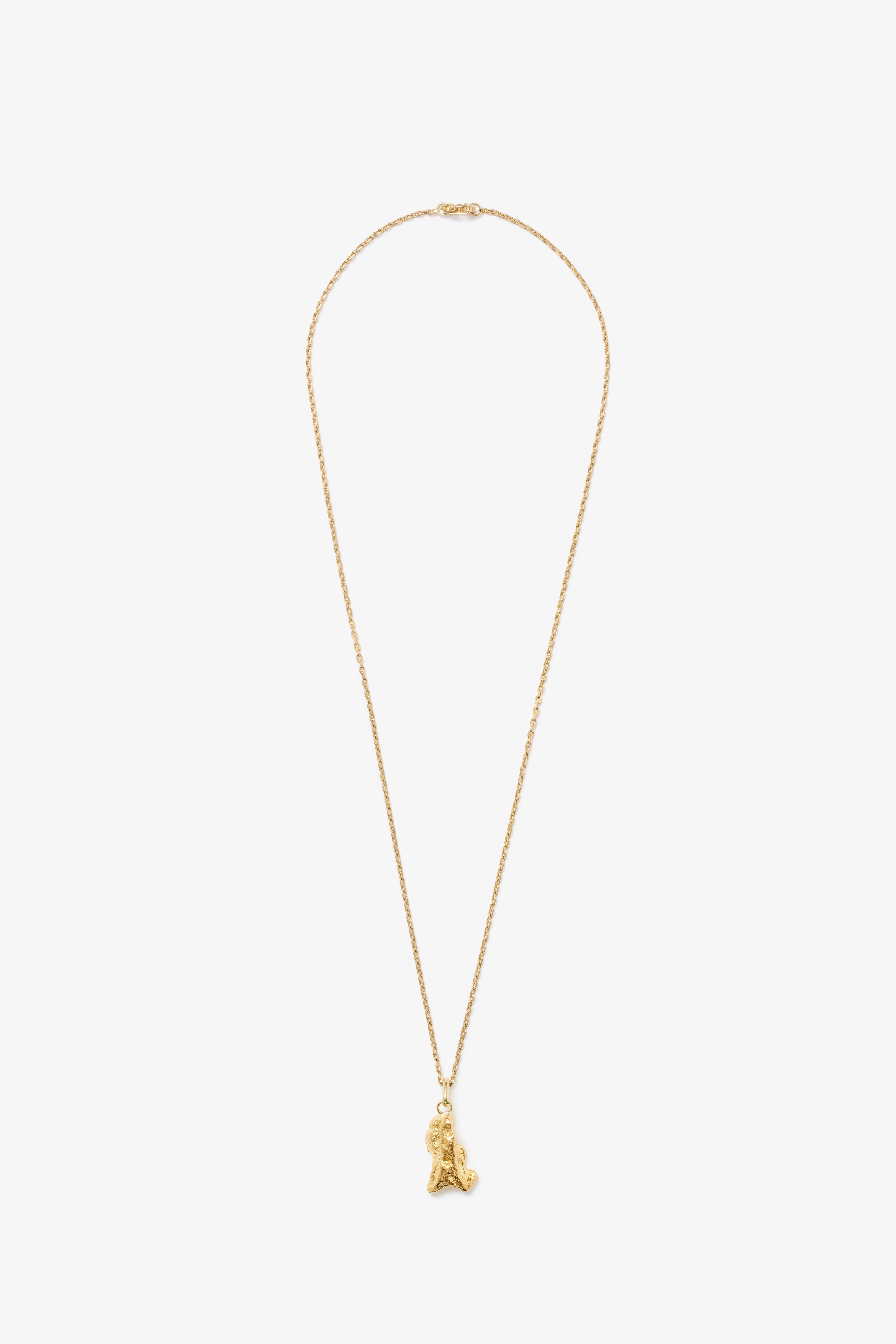 Trace Pendant With Fine Chain 05