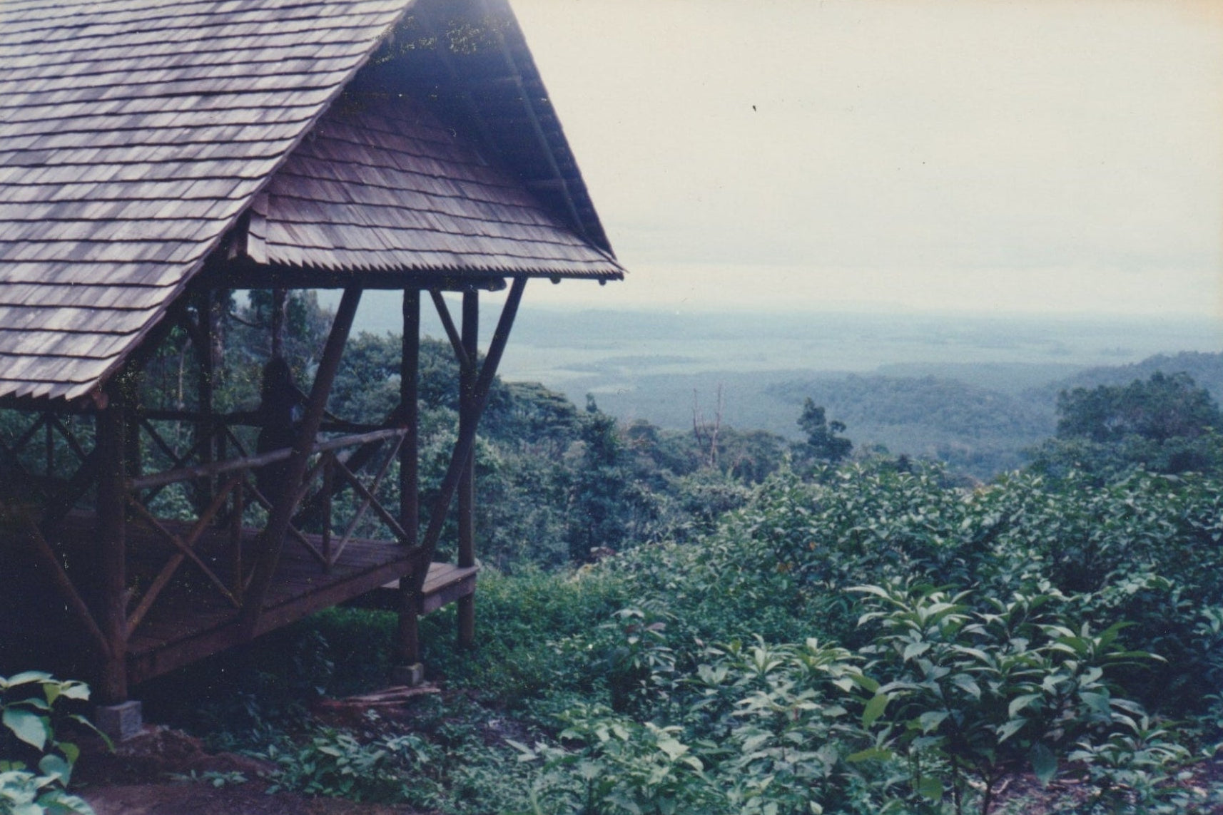 Wooden cabin in a forest with a scenic view of trees and sky.