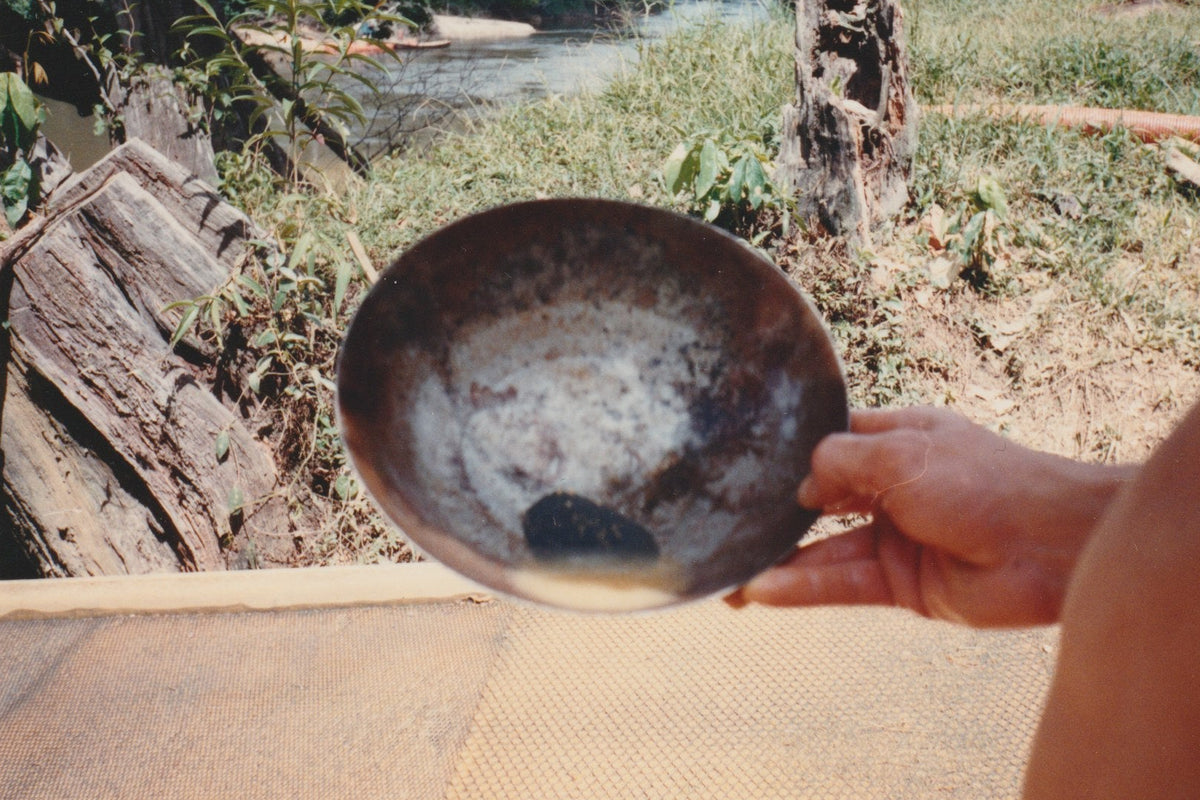 Person holding a small bowl outdoors with gold inside it in a natural background