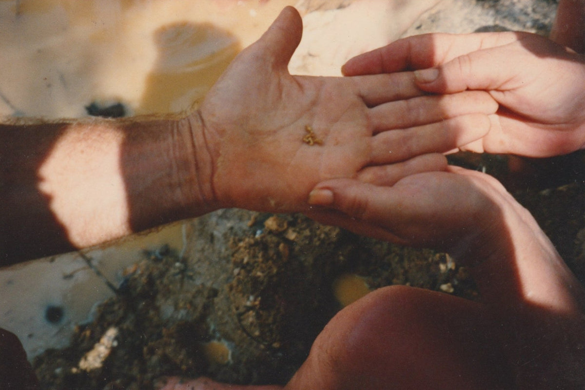 Close-up of gold in the palm of a person's hand beside a river